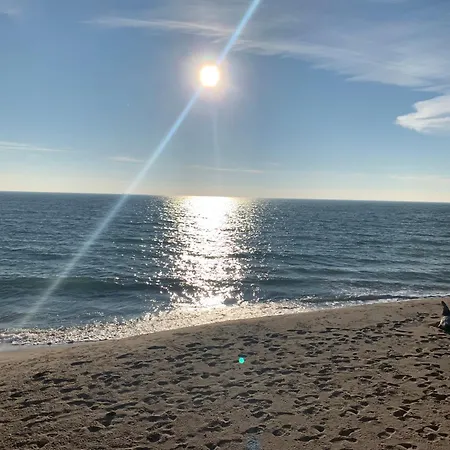 Apparent On The Main Street ヴァルナ