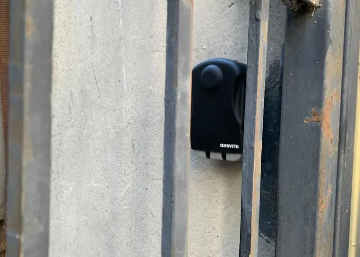 Apparent On The Main Street *