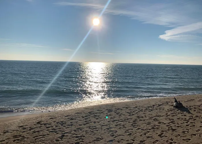 Apparent On The Main Street Varna